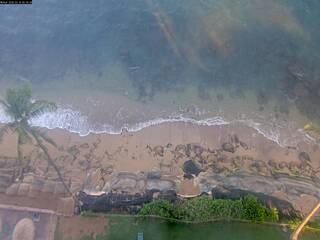 Beach & Pacific Ocean