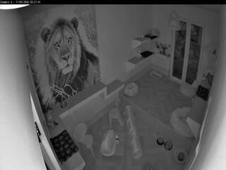 Cat Room