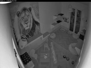 Cat Room