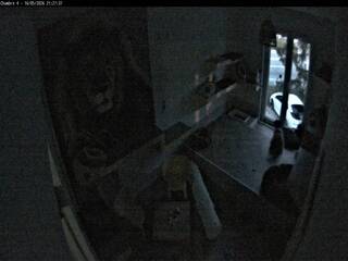 Cat Room