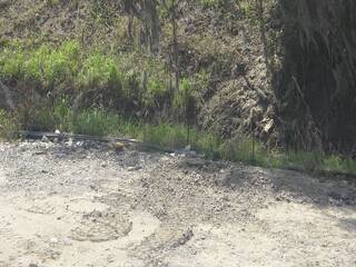 Webcam in United States