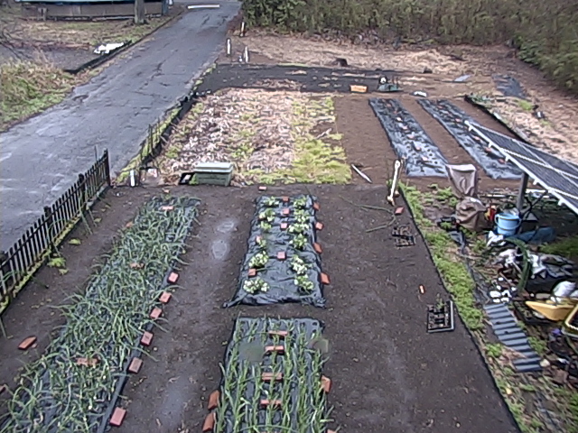 Webcam in Tokyo,Japan