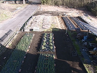 Webcam in Tokyo,Japan