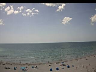 Webcam in Tampa,United States
