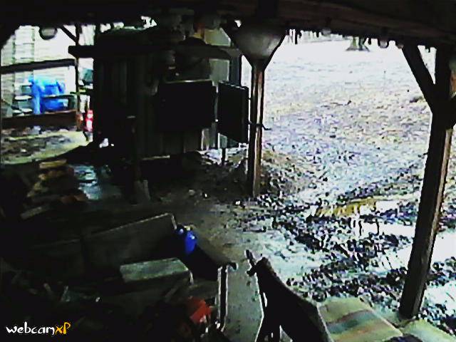 Webcam in Kenton,United States
