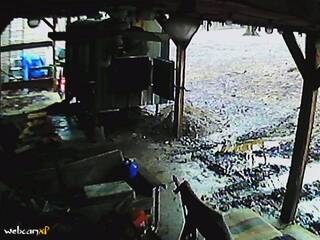 Webcam in Kenton,United States