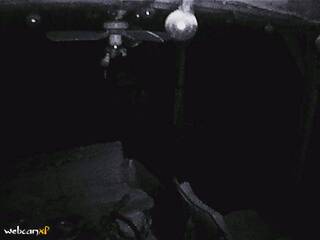 Webcam in Kenton,United States