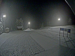 Webcam in Thornhill,Canada