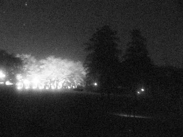 Ogo Green Flower Ranch