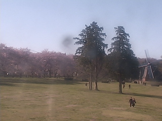 Ogo Green Flower Ranch