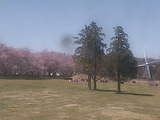 Ogo Green Flower Ranch