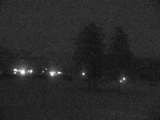 Ogo Green Flower Ranch