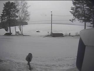 Webcam in New Kensington,United States