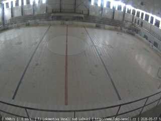 Ice Hockey Ring
