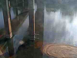 Webcam in United States