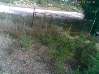 Road webcam