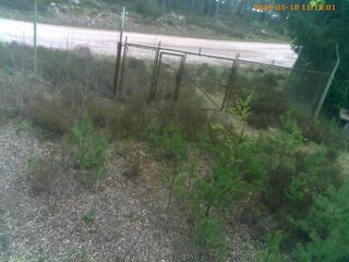 Road webcam