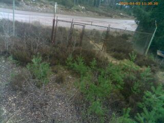 Road webcam