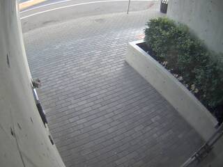 Sidewalk