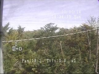 Webcam in Castelnuovo,Italy