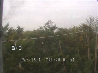 Webcam in Castelnuovo,Italy