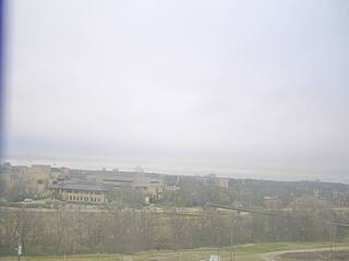Webcam in Hays,United States