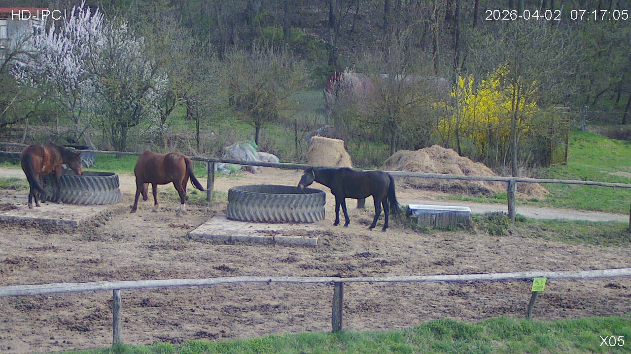 Webcam in Czech Republic