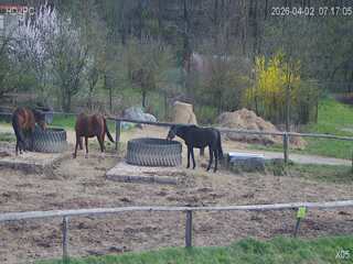 Webcam in Czech Republic