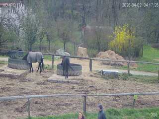 Webcam in Czech Republic