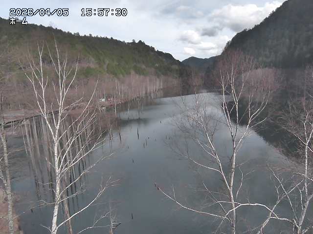 Lake & Mountain view