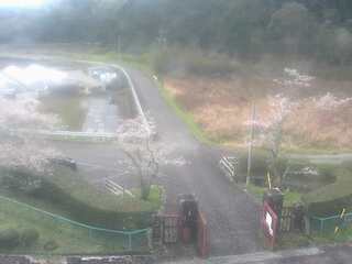 Webcam in Osaka,Japan