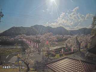 Iwamatsu Cherry Blossom Park