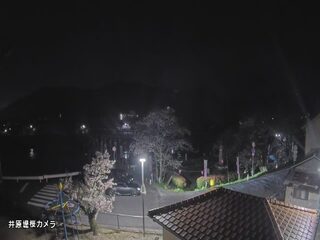 Iwamatsu Cherry Blossom Park