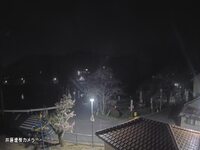 Iwamatsu Cherry Blossom Park