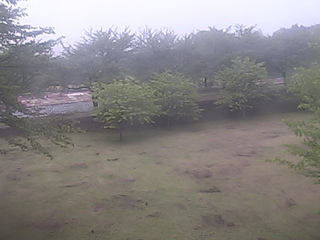 Ogo Green Flower Ranch