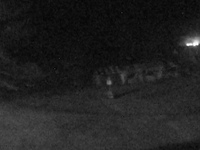 Ogo Green Flower Ranch