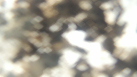 Webcam in Kagoshima,Japan