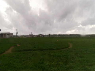Fields