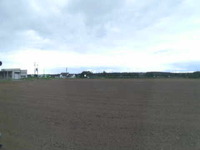 Fields