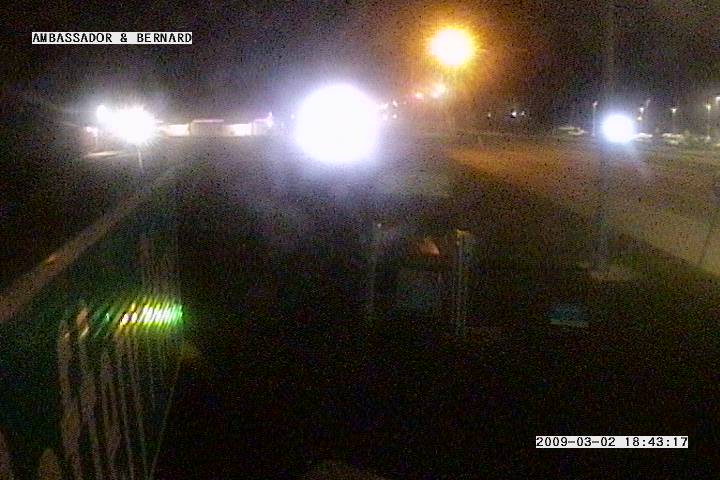 Ambassador & Bernard