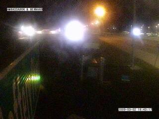 Ambassador & Bernard