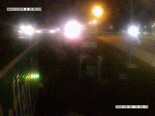 Ambassador & Bernard