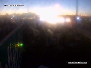 Ambassador & Bernard