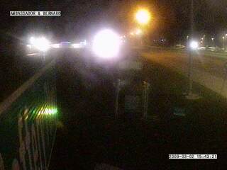 Ambassador & Bernard