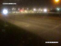 Ambassador & Bernard