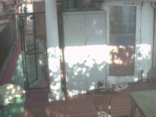 Security webcam