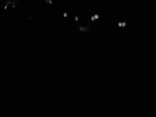 Webcam in Nishinomiya,Japan