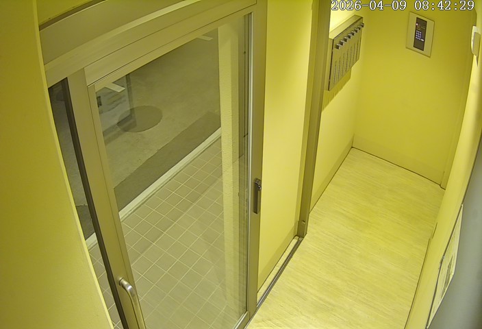 Webcam in Japan