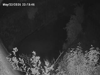 Drainage ditch
