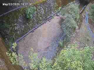 Drainage ditch